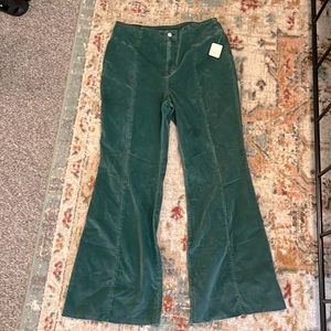 Free People Wild Honey pants